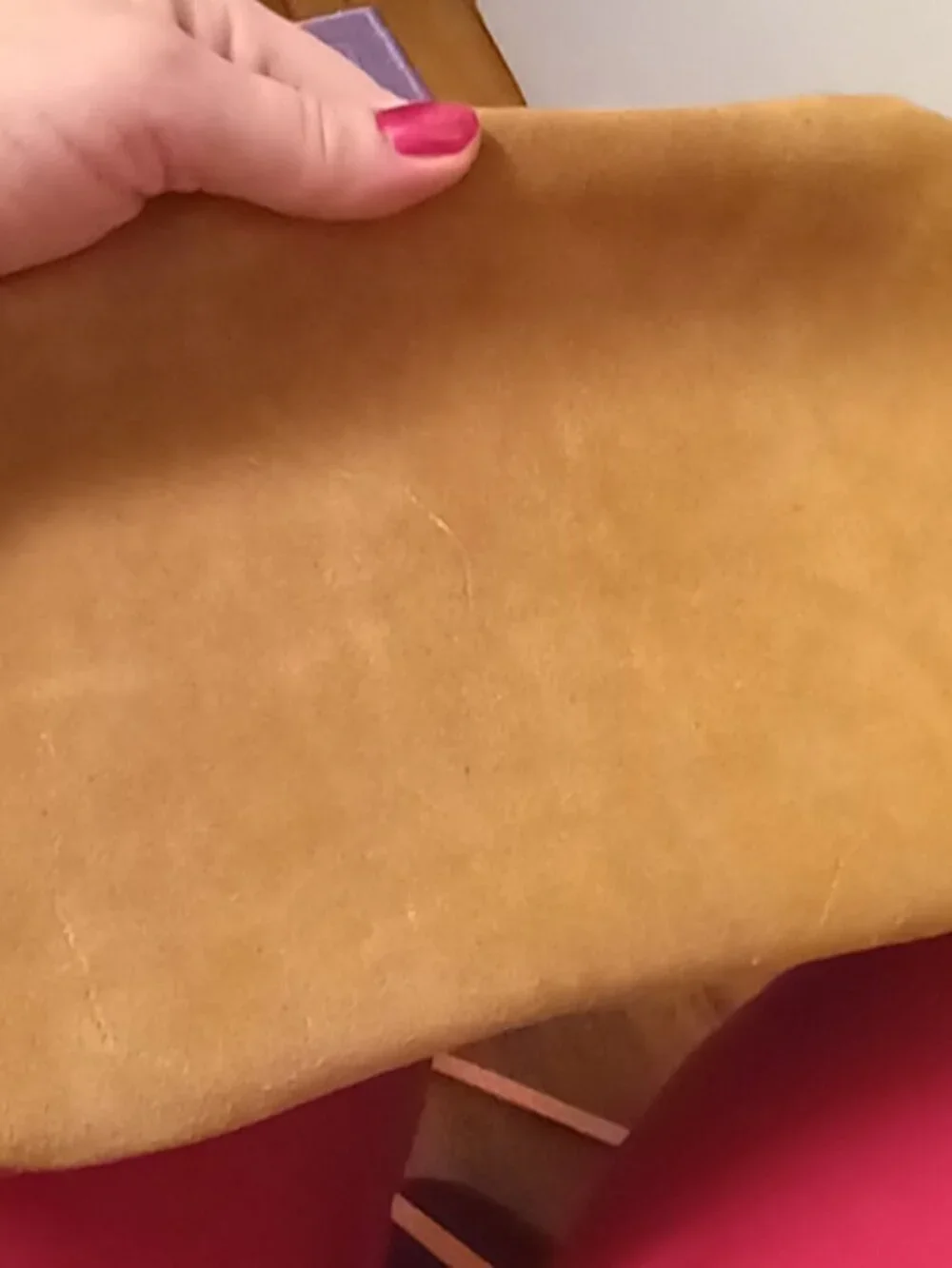 India Hicks Genuine Suede Hobo Bag